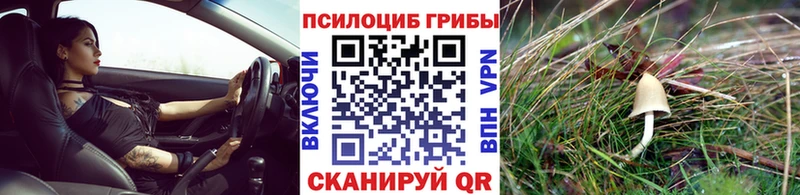 Галлюциногенные грибы Magic Shrooms  Питкяранта 