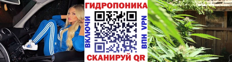 где можно купить Питкяранта Шишки марихуана THC 21%